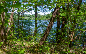 Lac de Mondely (rive est)