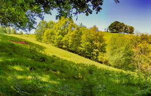Rude montée en bord de prairie entre Lasfites et Péléchou 