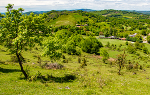Voila la prairie avec vu sur le practice de l'éco-golf