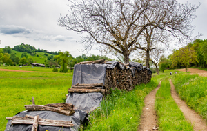 Du bois pour l'hiver !