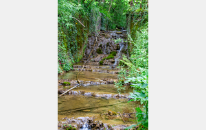 Affluent du ruisseau d'Aujole