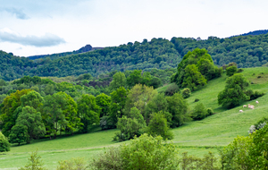 Vue du fond de la vallée de l'Arize