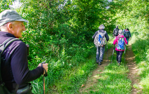 Chemin De Cologne à Sirac ombragé et très vert.