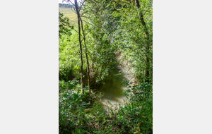 Le ruisseau Sarrampion