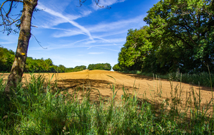 Sur le chemin de Cologne à Lagravère