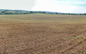 Vue en direction du Lac de Thoux - St Cricq