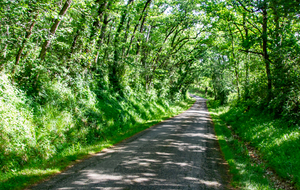 Chemin de Cologne à St Germier.