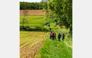 Direction La Hourcade par le chemin de Catonvielle à Cologne