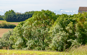 Théret et les Pyrénées