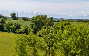 Panorama 1 des Pyrénées d'est en ouest vu de la D249