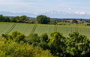 Panorama 2 des Pyrénées d'est en ouest vu de la D249