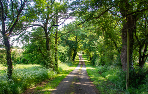 Chemin rural pour passer à Barré, Estingoy, Barberon, Les Téoules