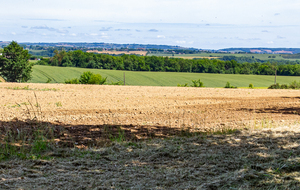 Vue sur les coteaux dans la direction de Cologne  (à partir des Téoules)