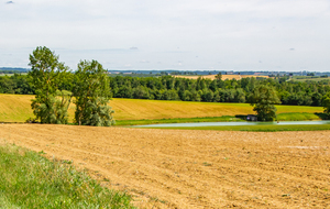 Chemin de Catonvielle à Cologne 