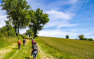 Petite grimpette d'un chemin rural  !! vers Thoux