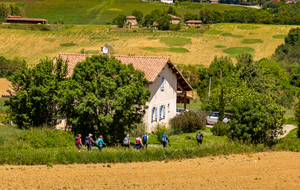 Chemin de Thoux à St Cricq