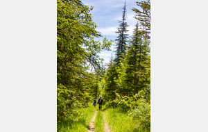 Descente vers le lac