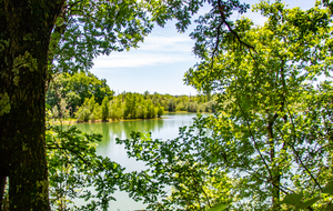 Dernière rive du lac