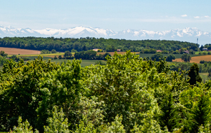 Revoila les Pyrénées