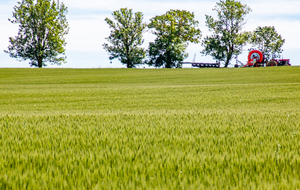 Sur le chemin rural du Bachayre 