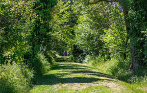 Chemin de Beauregard 