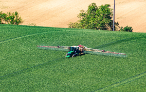 Le Buguet du Haut (avant Cologne)