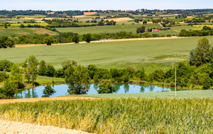 Le Buguet du Haut ( avant Cologne)