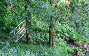 Vallon du ruisseau d'Aussillon à Valparaiso (l'Adrex)