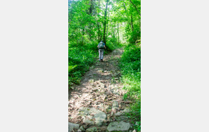 Montée vers  La Frucharié 