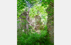 Ruines de La Frucharié 