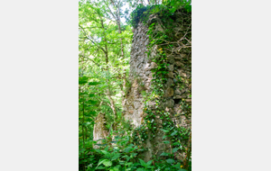 Ruines de La Frucharié 