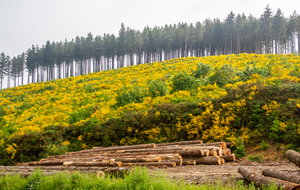 Petit plateau avec la vue précédente