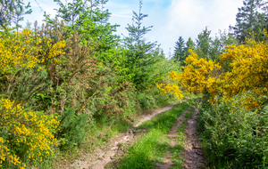 Dernière montée vers le Puech d'Emblanc