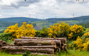Vue sur La Montagne Noire du Camp Soulèze