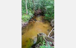 Petit ruisseau alimentant le lac