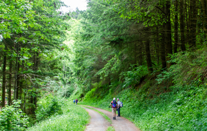 Dernière pente douce en descente