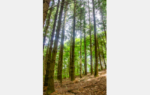 Vallon Rec d'Embrien 