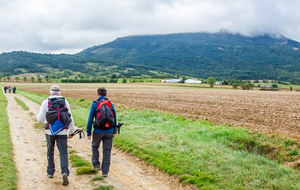 La plaine entourée à droite et à gauche de massifs calcaires recouverts de belles forêts 