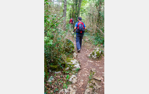 Entrée dans le lapiaz (ensemble karstique)