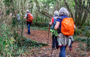Début du Labyrinthe Vert
