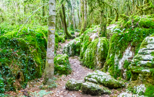 Sortie du Labyrinthe Vert