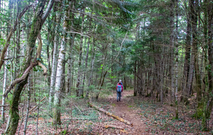  Vers le Pas de la Bessègne (602 m)
