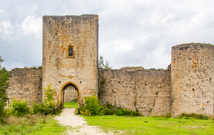 Château Cathare de Puivert