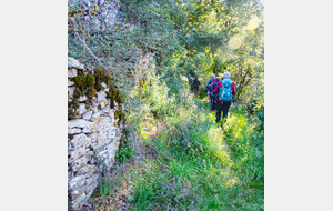 En approche de Mordagne sur le Causse