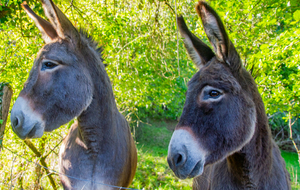 Ce n'est pas le Théâtre parisien!