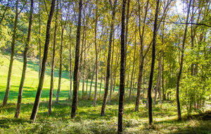 Entre Garrigue et Couderc