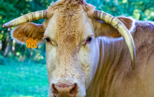  T'en fait une tête!