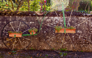 Grand Bi porte fleurs