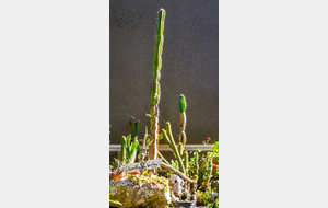 Death Valley presque!