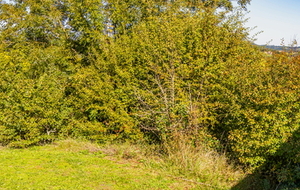 Espinas: vue sur la campagne Tarn et Garonnaise